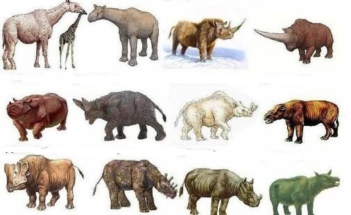 Τα απολιθωμένα θηλαστικά της Θεσσαλίας: Διάλεξη στο Διαχρονικό Μουσείο Λάρισας